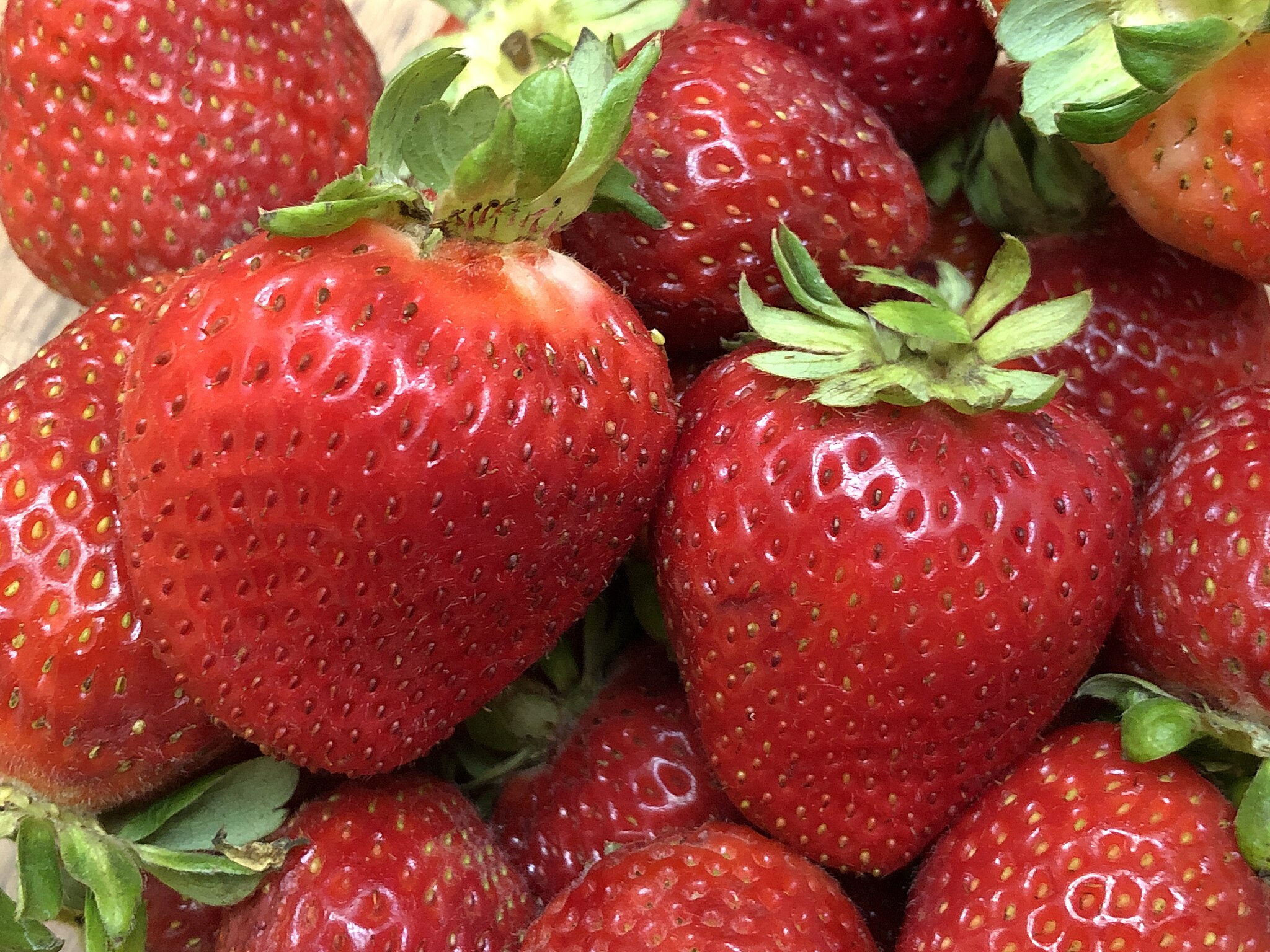 yale-strawberry-shortcake-web-extra-yale-alumni-magazine