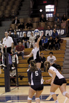 Sports wmn volleyball thumb