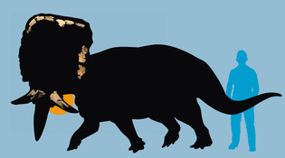 Photo illustration: Mark Zurolo ’01MFA. Dinosaur image: Nick Longrich.