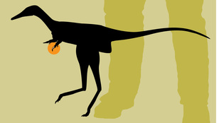 Photo illustration: Mark Zurolo ’01MFA. Dinosaur image: Nick Longrich.