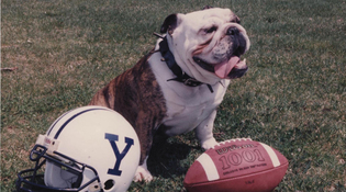 Yale Athletics